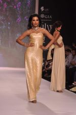 Model walk the ramp for Kashi Jewels on Day 4 of IIJW 2013 on 7th Aug 2013 (30).JPG